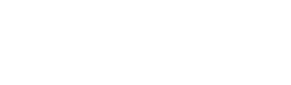 Sebastian Witt natuerlich kochen Logo weiss 01